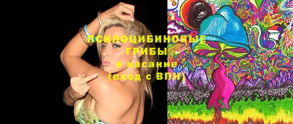 дживик Алексеевка