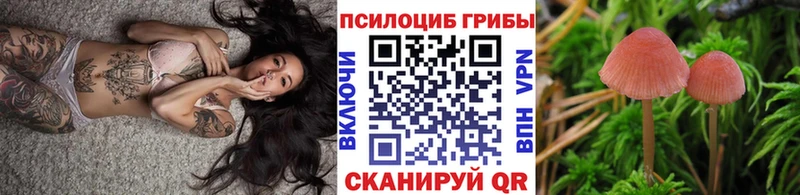 Псилоцибиновые грибы ЛСД  Приморск 